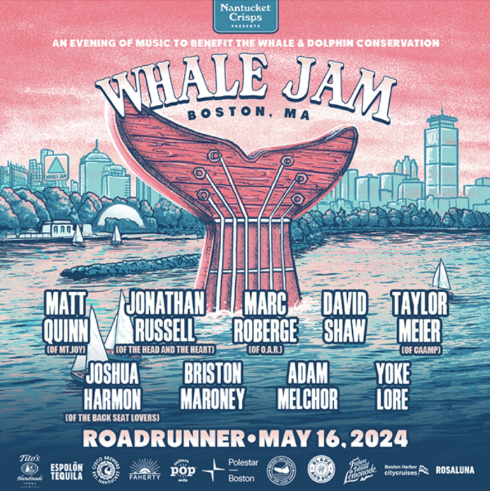 The Whale Jam Details 2024 Event, Featuring Members of Mt. Joy, Caamp, O.A.R. and More
